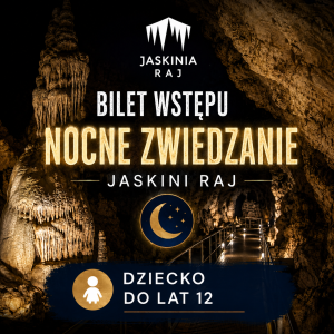 Bilet wstępu - DZIECKO do lat 12 - Nocne zwiedzanie Jaskini RAJ